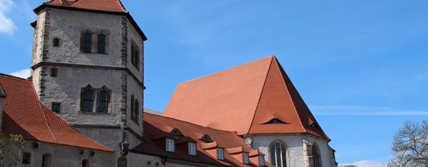St. Martinszug vom Dom zur Moritzburg