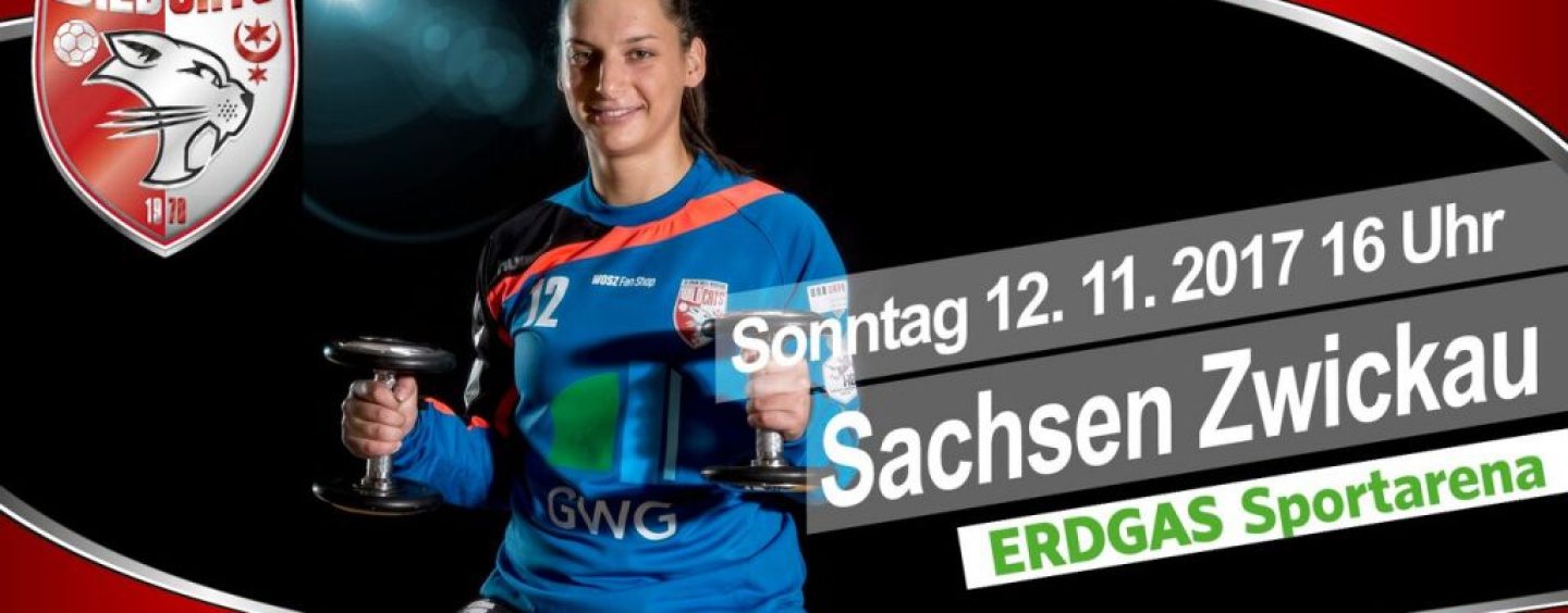 Ostderby gegen BSV Sachsen Zwickau in der ERDGAS Sportarena
