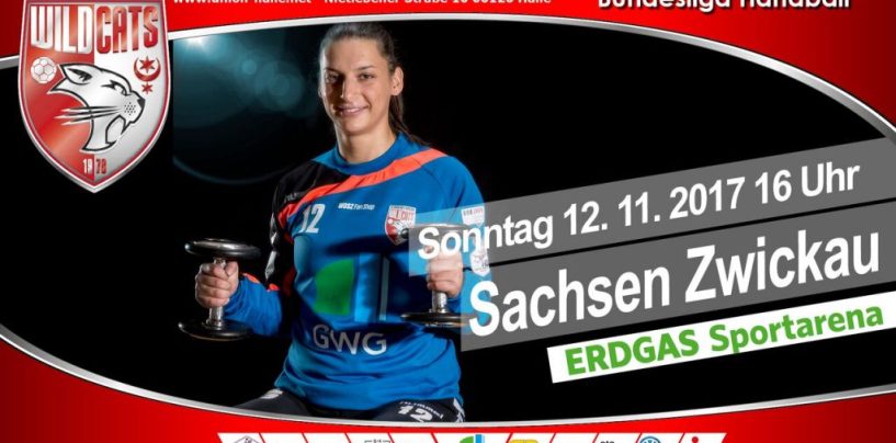 Ostderby gegen BSV Sachsen Zwickau in der ERDGAS Sportarena