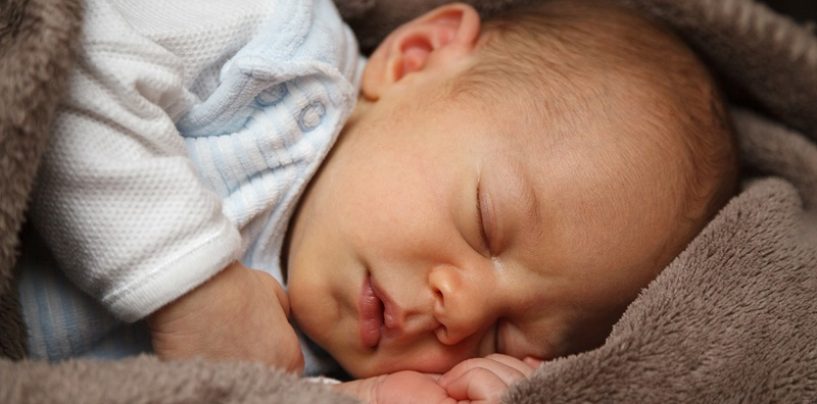 Statistik – 29,2 % der Neugeborenen in Halle hat mindestens einen ausländischen Elternteil