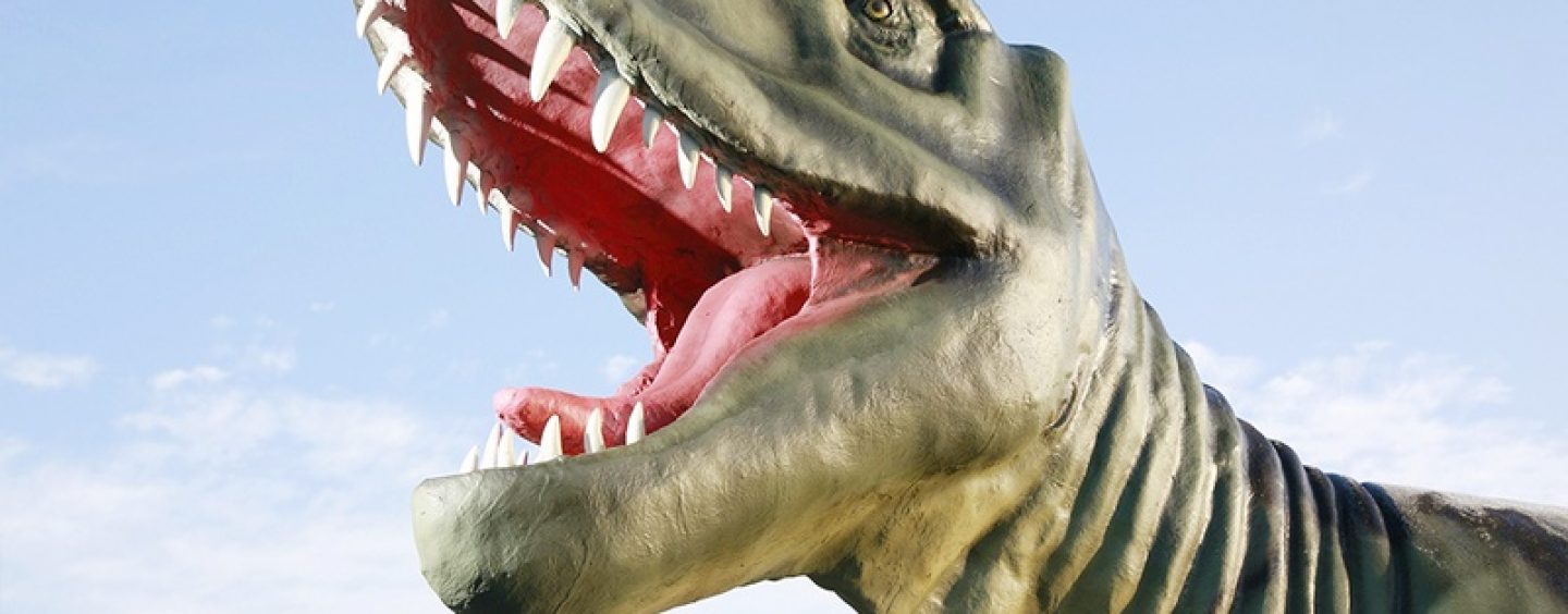 Dinosaurier  Im Reich der Urzeit