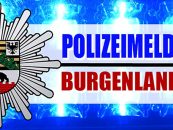 Polizeimeldungen aus dem Burgenlandkreis