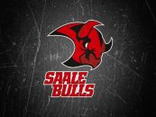 Saale Bulls können sich auf zwei Positionen verstärken!