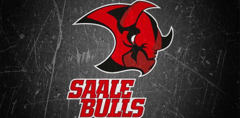 Saale Bulls können sich auf zwei Positionen verstärken!