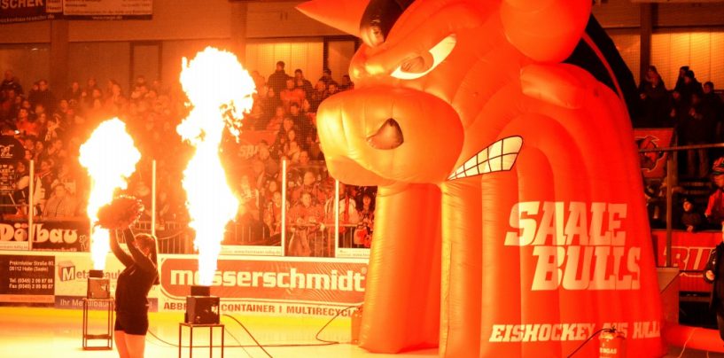 Saale Bulls festigt Tabellenplatz zwei