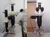Polizei bittet um Mithilfe – Lichtmikroskops im Institut für Physik der MLU entwendet