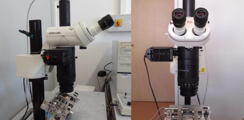 Polizei bittet um Mithilfe – Lichtmikroskops im Institut für Physik der MLU entwendet