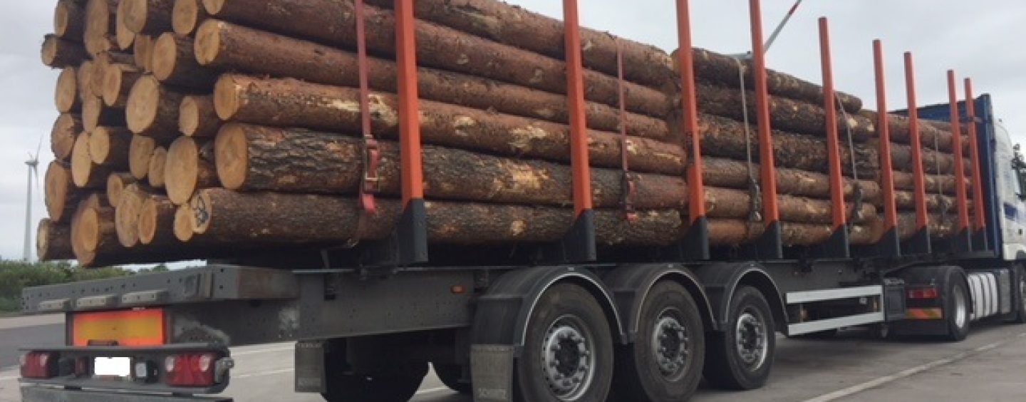 Kontrolle von Holz- und Baustofftransporten auf der A 38
