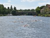 Schnellster Flussschwimmer zum Internationalen Saaleschwimmen in Halle gesucht