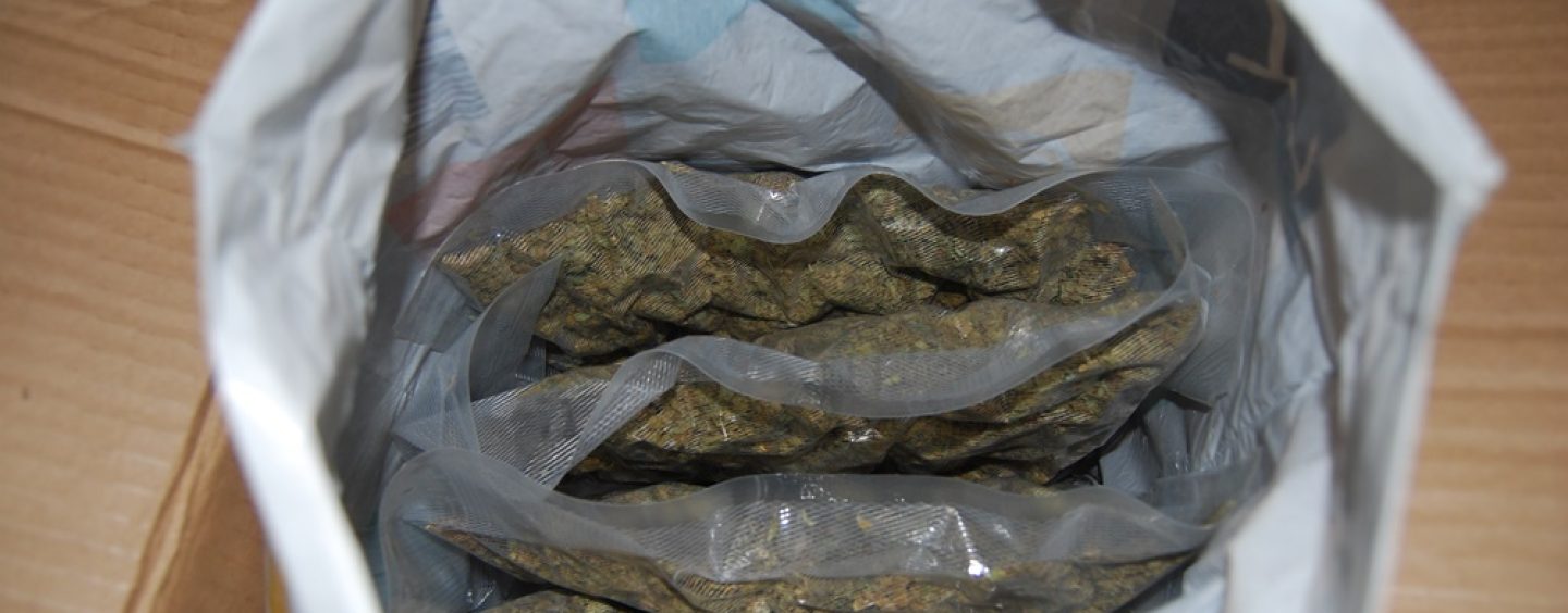 Polizei stellt mehr als 1 Kilogramm Marihuana sicher