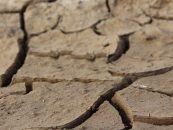 Die Dürre im Land ist eine Naturkatastrophe