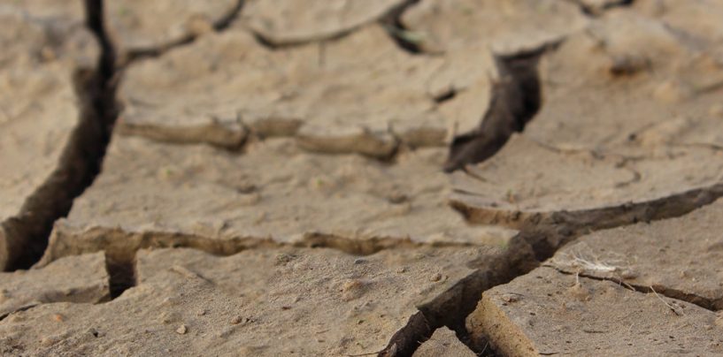 Die Dürre im Land ist eine Naturkatastrophe