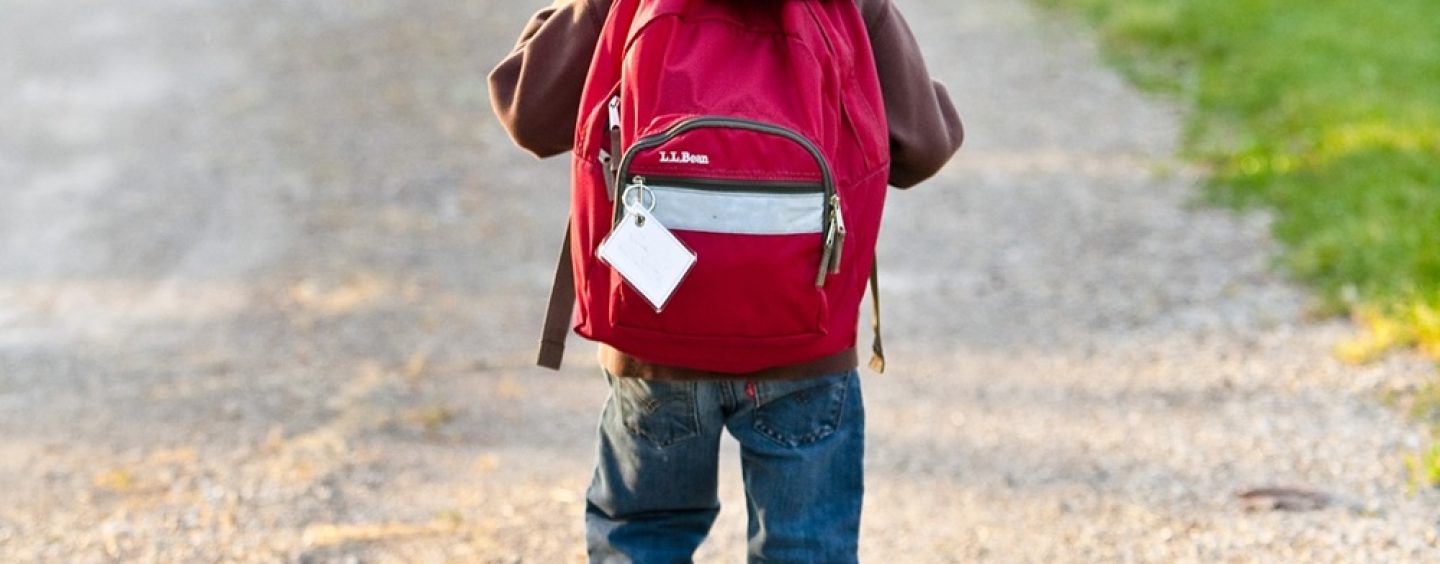 Schulanfang in Sachsen-Anhalt: Drei Tipps, wie Kinder sicher zu Fuß zur Schule laufen können