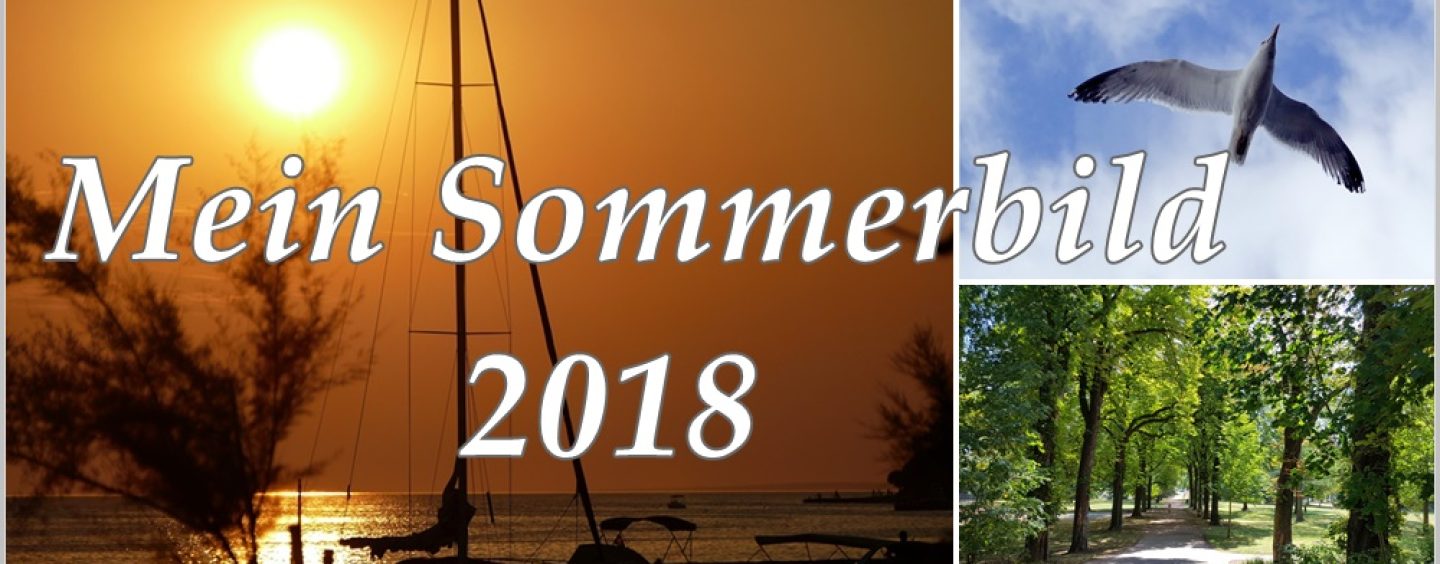 Das Sommerbild 2018 gesucht!