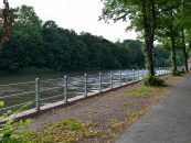 Stadtverwaltung will 118 alte Alleebäume am Riveufer erhalten