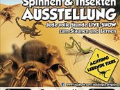 Insektopia –  Spinnen und Insektenausstellung