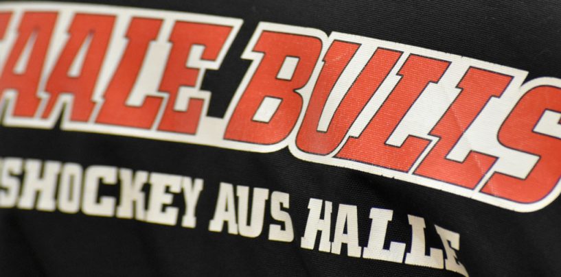 Saale Bulls bringen drei Punkte aus Berlin mit nach Hause