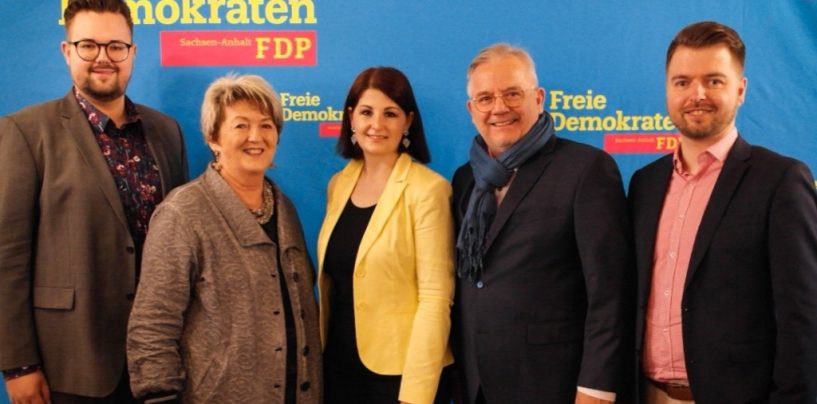 FDP Halle stellt Weichen für Kommunalwahl 2019