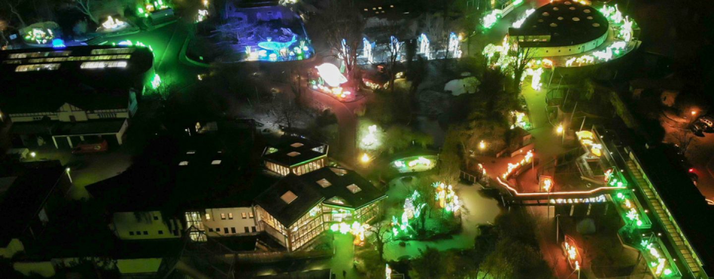 Magische Lichterwelten im Zoo Halle haben auch am Ferien-Montag geöffnet