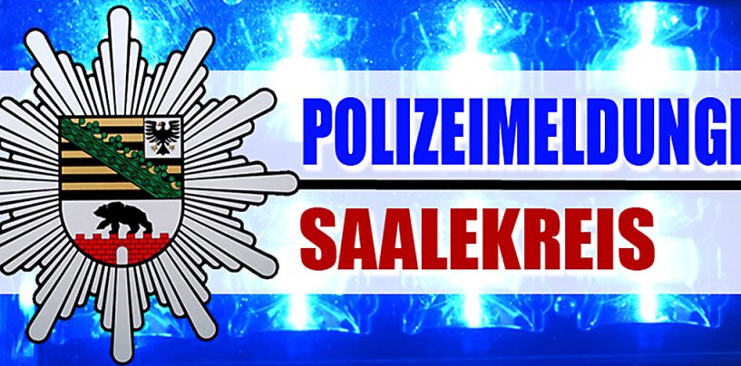 Polizeiliche Kriminalstatistik des Polizeireviers Saalekreis für das Jahr 2018