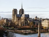 Ministerpräsident Haseloff bietet Hilfe für Wiederaufbau von Notre Dame an