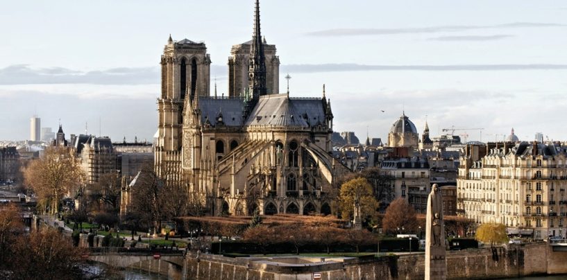 Ministerpräsident Haseloff bietet Hilfe für Wiederaufbau von Notre Dame an