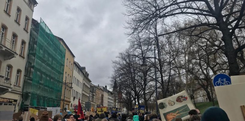 Wir streiken, bis ihr handelt  Demo für`s Klima in Halle