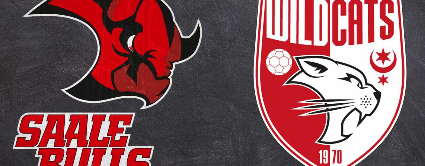 GEMEINSAM FÜR HALLE! – Saale Bulls wünschen den Wildcats viel Erfolg im DHB-Pokal