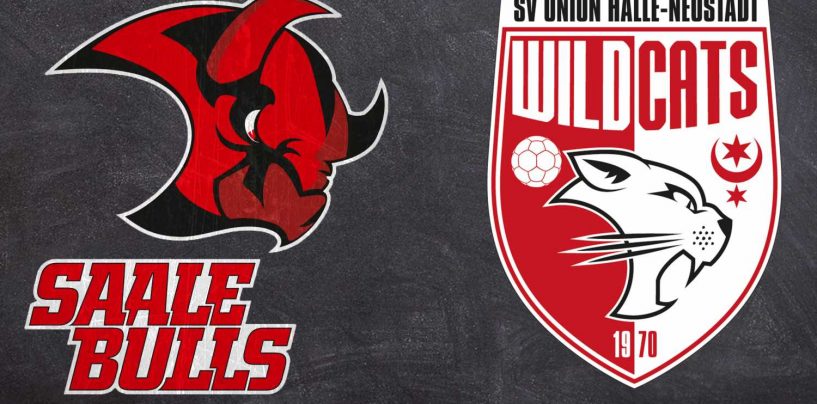 GEMEINSAM FÜR HALLE! – Saale Bulls wünschen den Wildcats viel Erfolg im DHB-Pokal