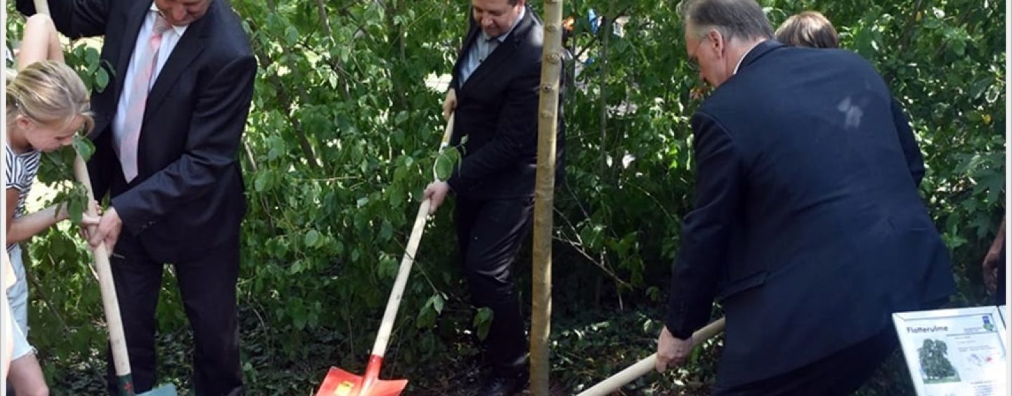 Ministerpräsident Haseloff pflanzt Baum des Jahres im Zoo Halle