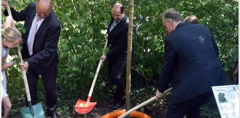 Ministerpräsident Haseloff pflanzt Baum des Jahres im Zoo Halle