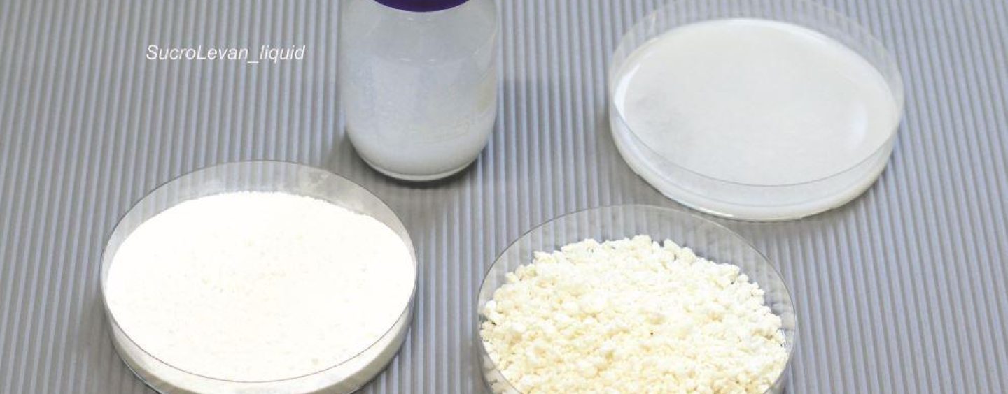 Biotechnologen aus Sachsen-Anhalt revolutionieren Herstellung des Zuckerpolymers Levan für Kosmetika