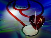 Wanderung mit Herzblut findet zum 2. Mal statt