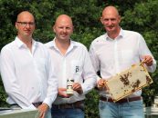 Bio-Imkerei Honigprinz und REWE starten regionale Spendenaktion
