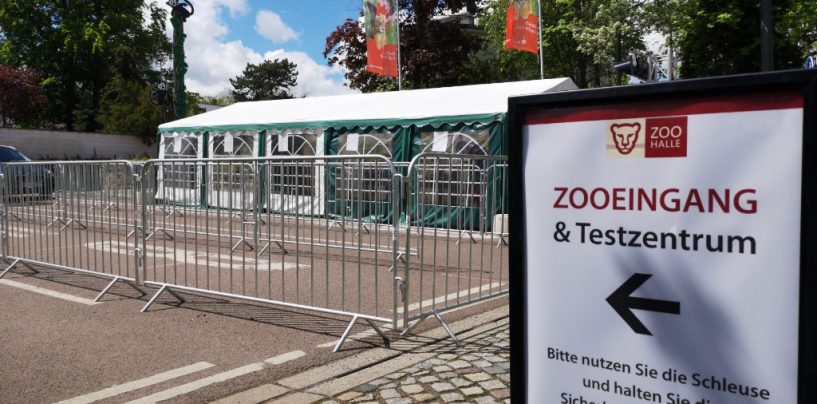 Testpflicht für Zoobesuch entfällt ab Samstag – Maskenpflicht wird gelockert