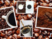 Kaffeepause in Halle – die besten Kaffeeröstereien