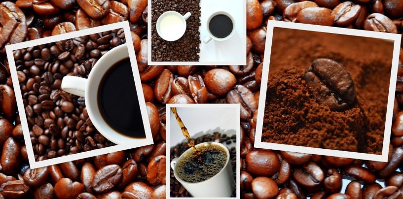 Kaffeepause in Halle – die besten Kaffeeröstereien