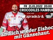 Saale Bulls empfangen Crocodiles Hamburg