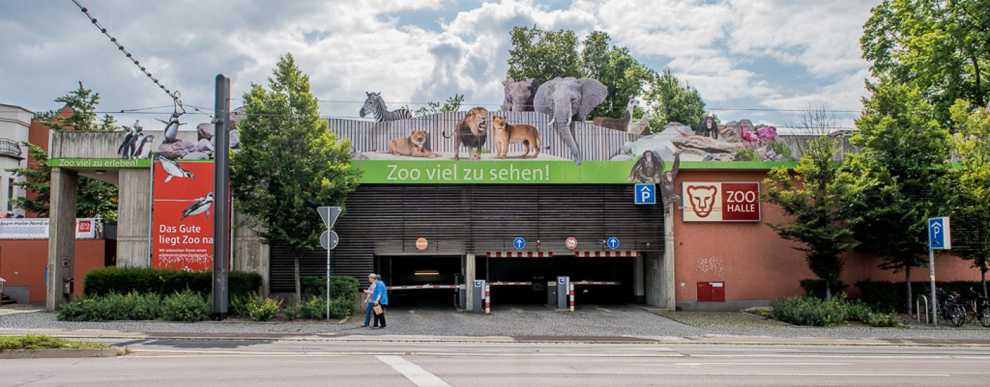 Zoo öffnet wieder – Einschränkungen sind möglich