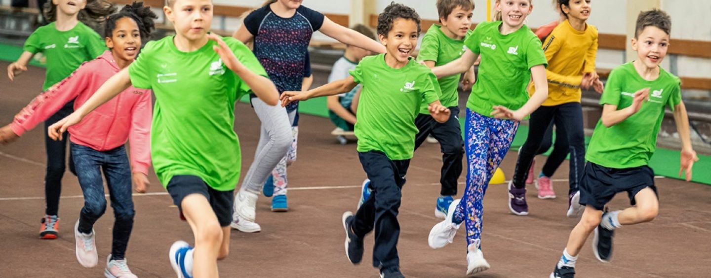 SV Halle startet Kindersport-Kurse in altersgerechten Kleingruppen