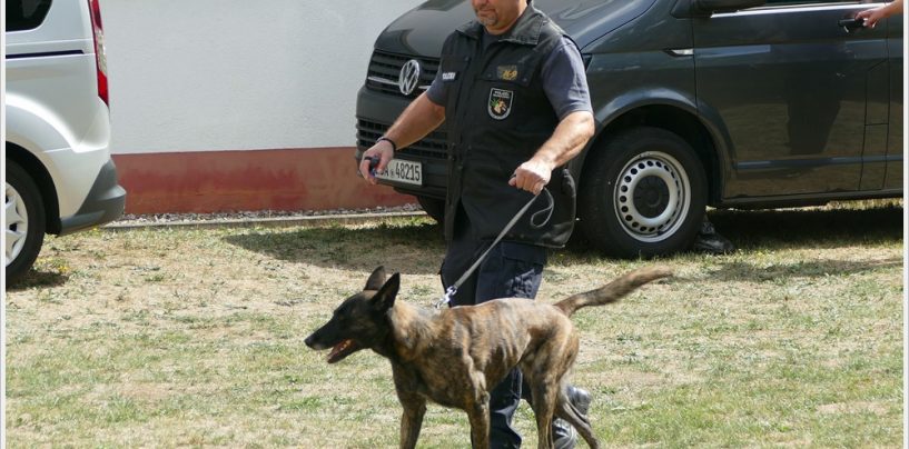 Wie wird aus einem Welpen ein Diensthund der Polizei?