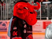 Torreicher Heimspielauftakt für die Saale Bulls