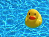 Pack’ die Badehose ein… Warum Schwimmen so wichtig ist und wie man es lernt!