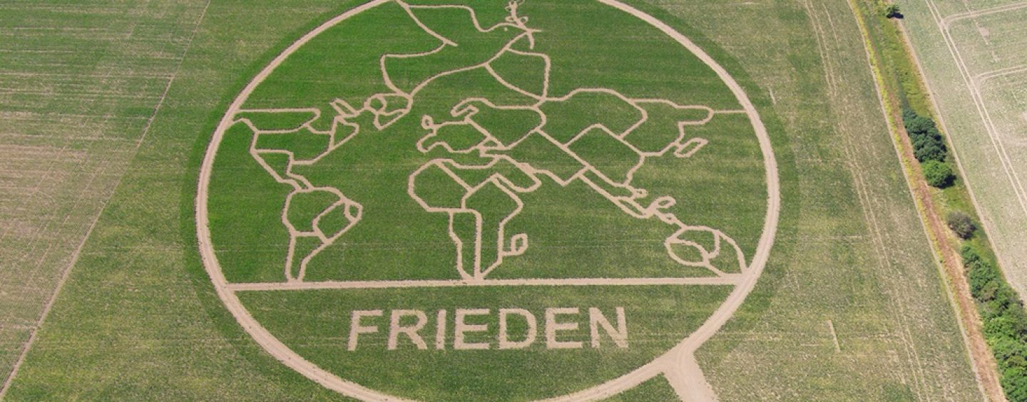 Das neue Maislabyrinth steht im Zeichen des Friedens
