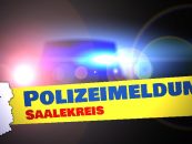 Meldungen des Polizeirevier Saalekreis vom 11.07.22