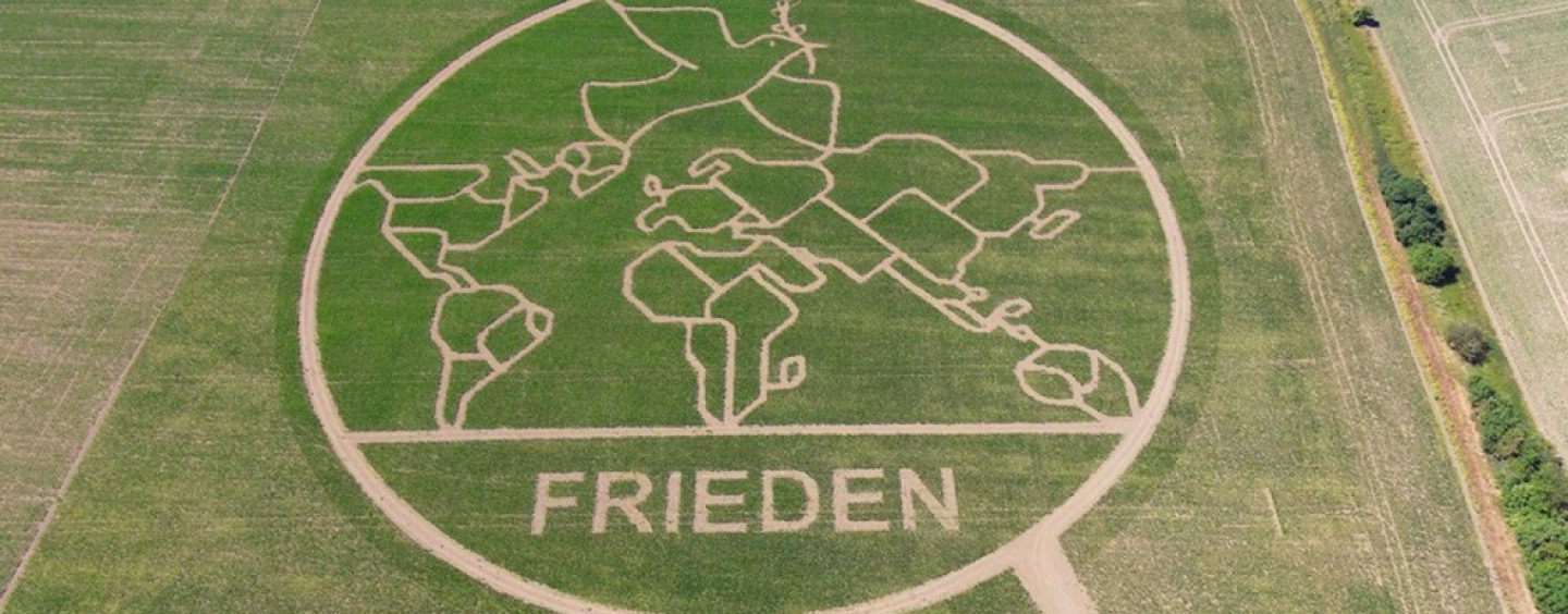 Maislabyrinth mit Friedenstaube öffnet am 15. Juli seine Pforten