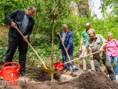 Ministerpräsident pflanzt drei Bäume im Bergzoo