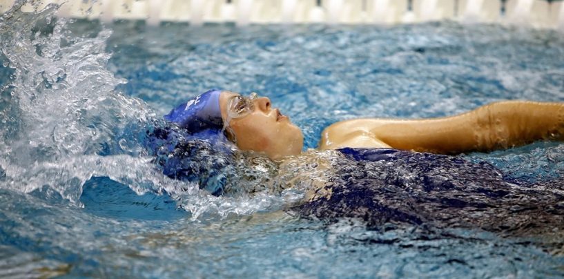 Athleten aus Sachsen-Anhalt mit herausragender Bilanz bei Schwimm-WM in Ungarn