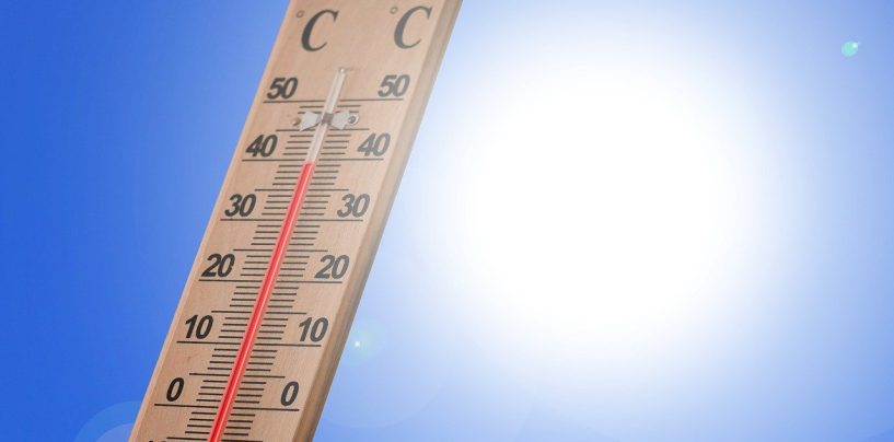 Land und Kommunen schützen Bevölkerung nicht genug vor Hitze