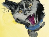 Buchvorstellung zum internationalen Tag der Katze – Kater Moritz